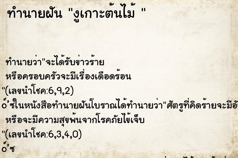 ทำนายฝัน งูเกาะต้นไม้ 